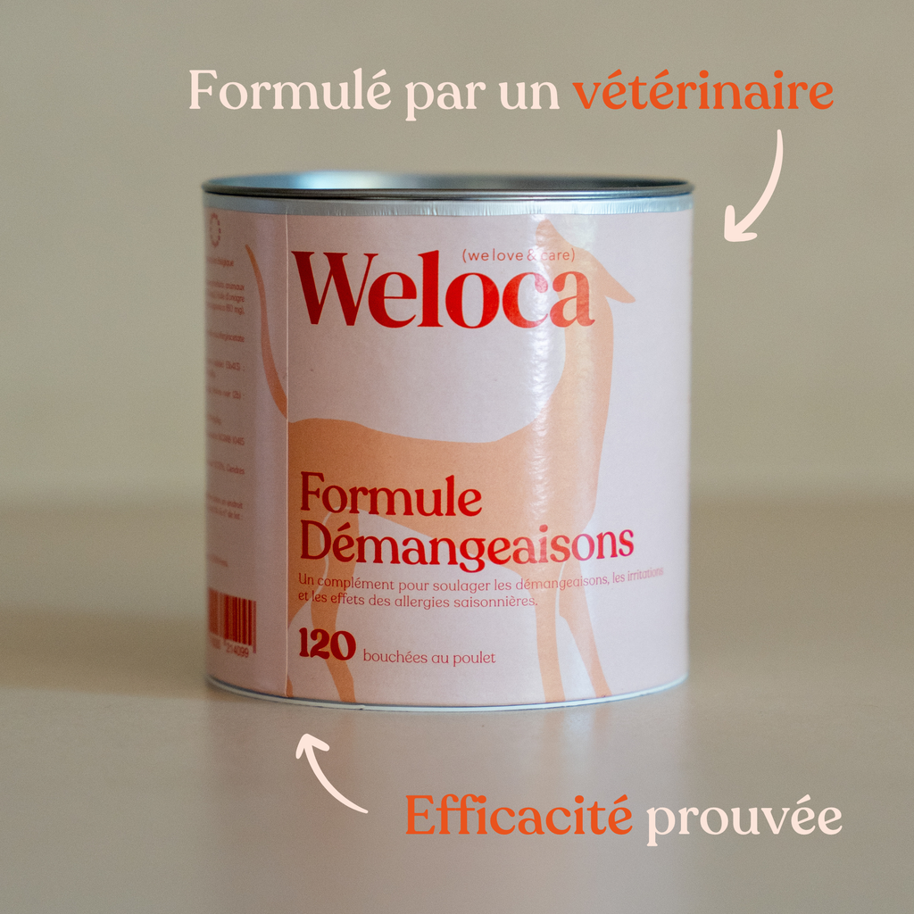 Weloca – Complément Démangeaisons pour chien (120 bouchées)