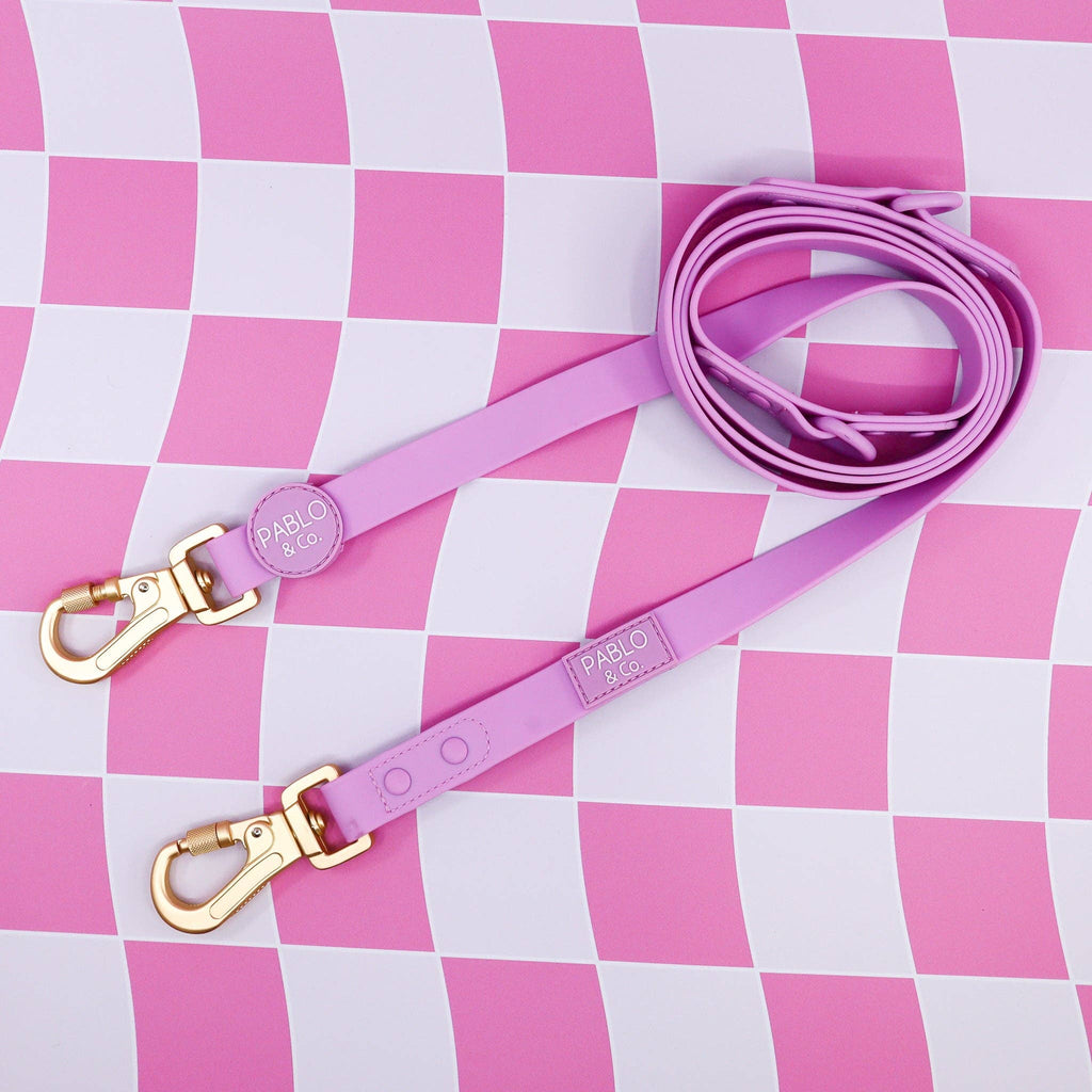 Lavender : laisse imperméable multifonctionnelle