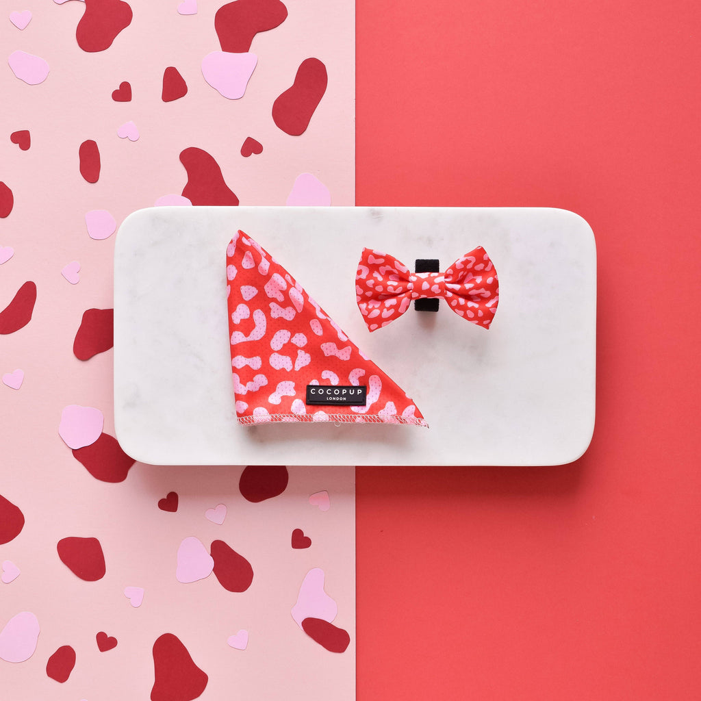 Foulard Red & Pink Leopard – Cocopup London