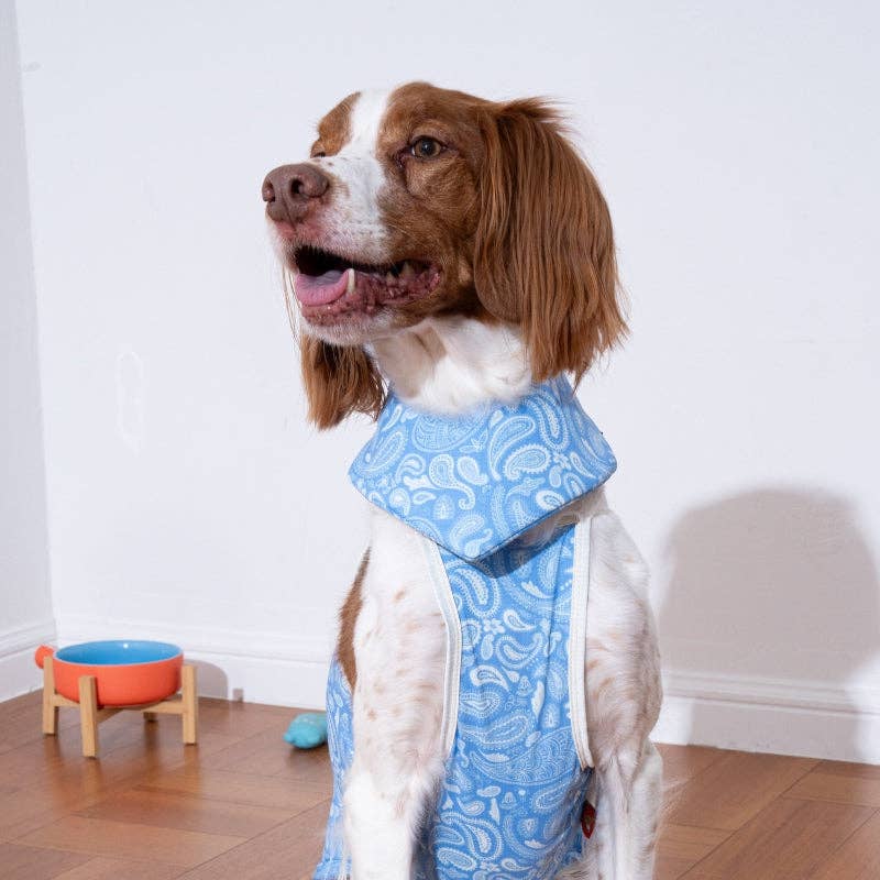 Bandana rafraîchissant Paisley Lover pour chien - Puppy Gallery