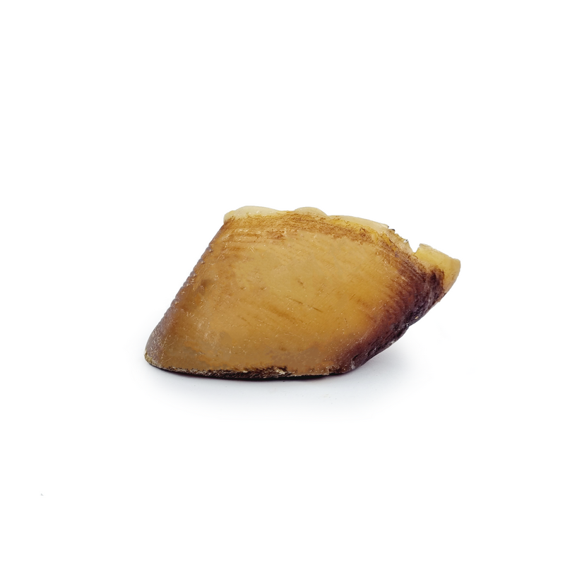 Sabot de Bœuf — 500 g ou 1 kg