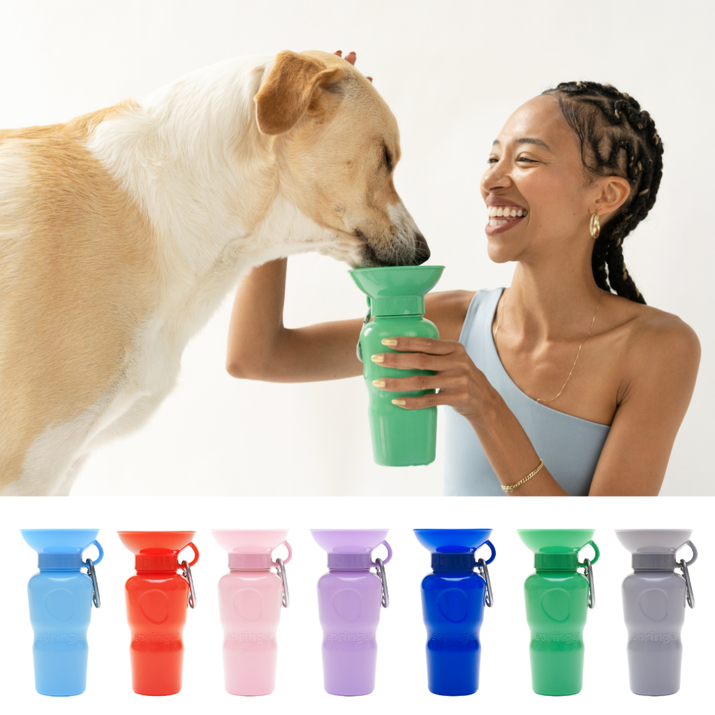 Springer Pet - Gourde 650ml