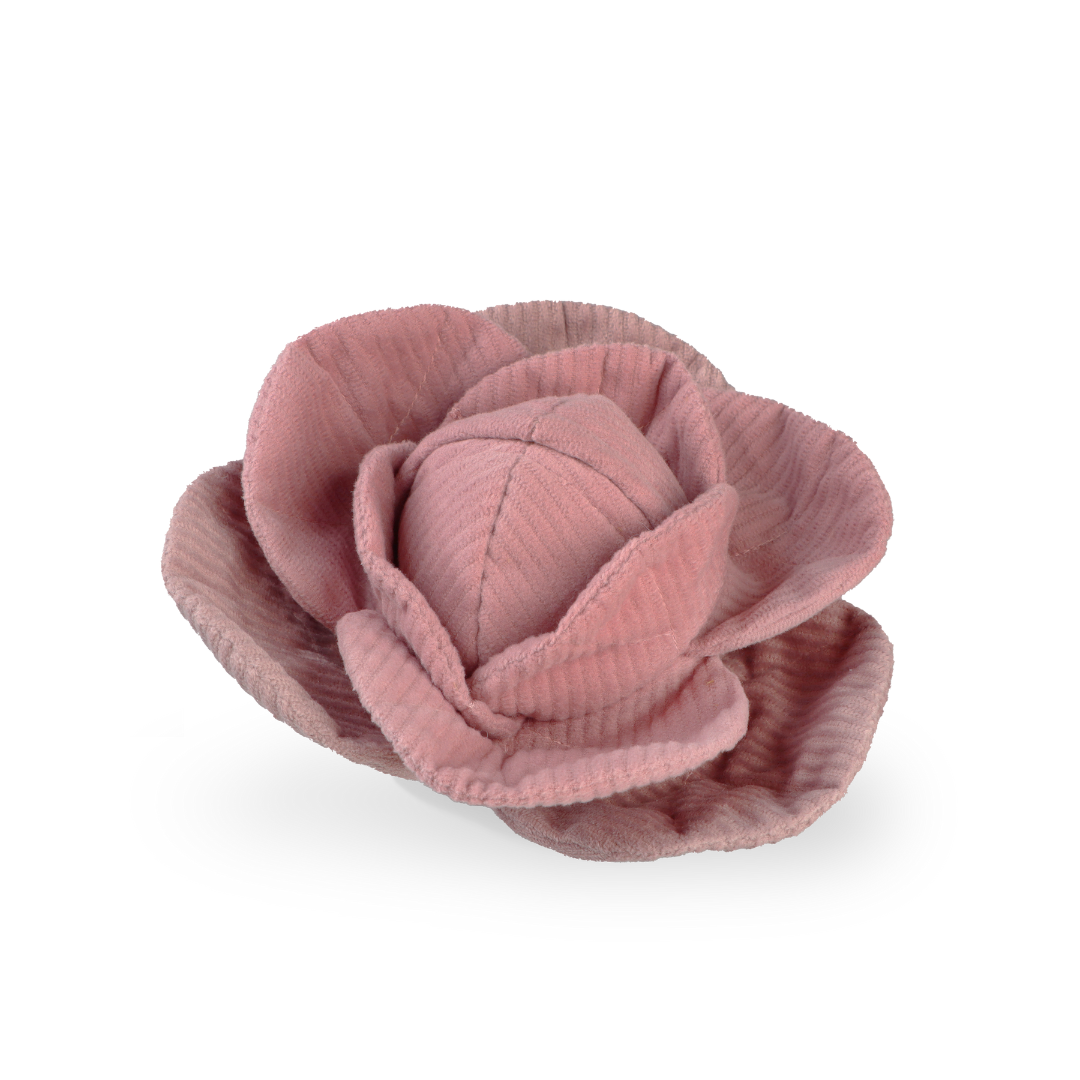 Jouet pour chien CHOU - Fouille