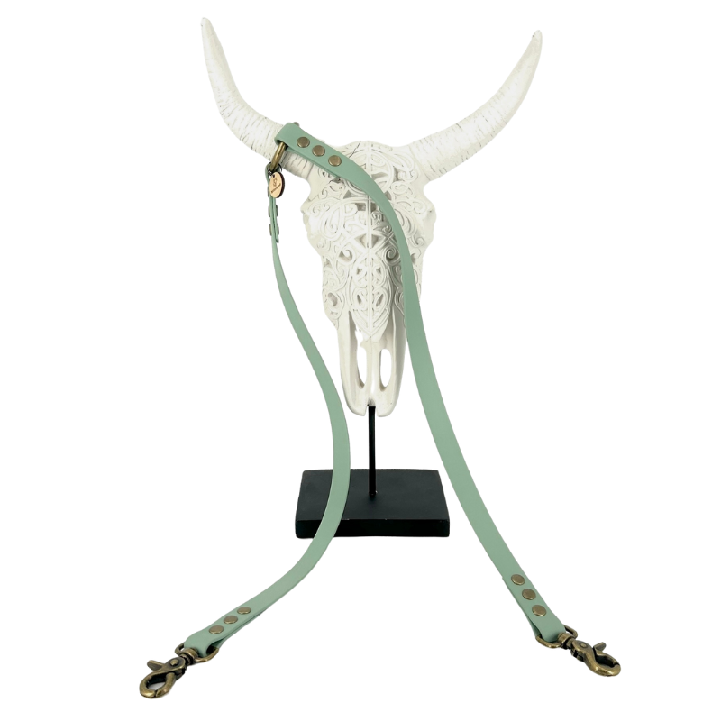 Coupleur laisse chien - biothane - coloris au choix