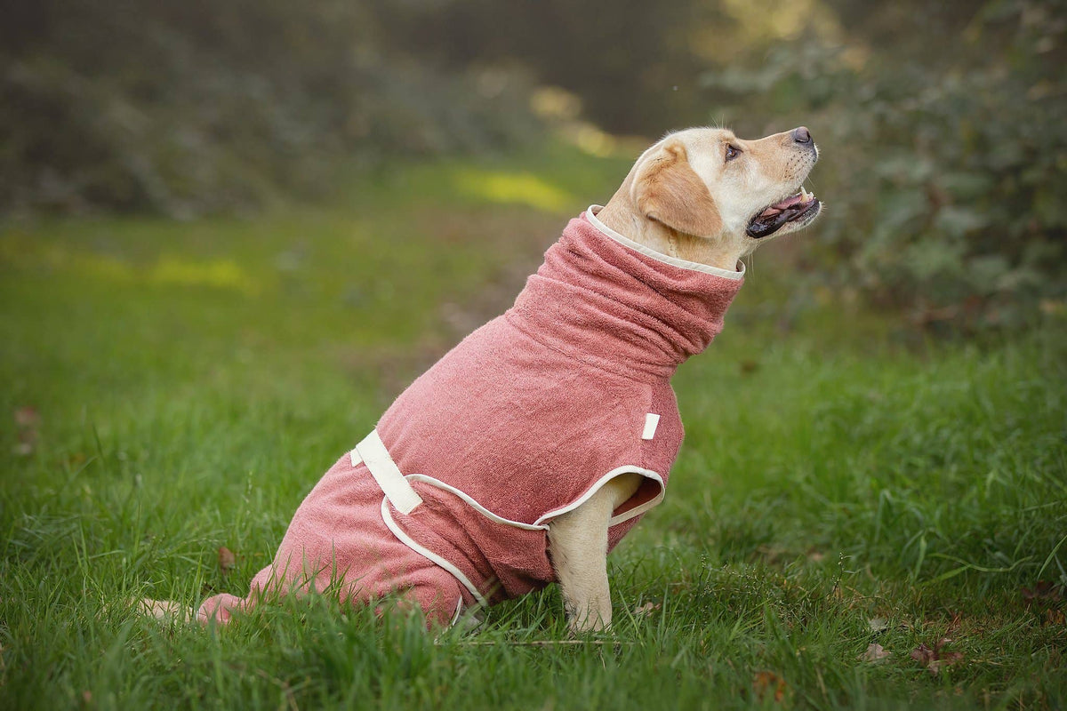 Peignoir de bain pour chiens Dog Wellness – Blossom