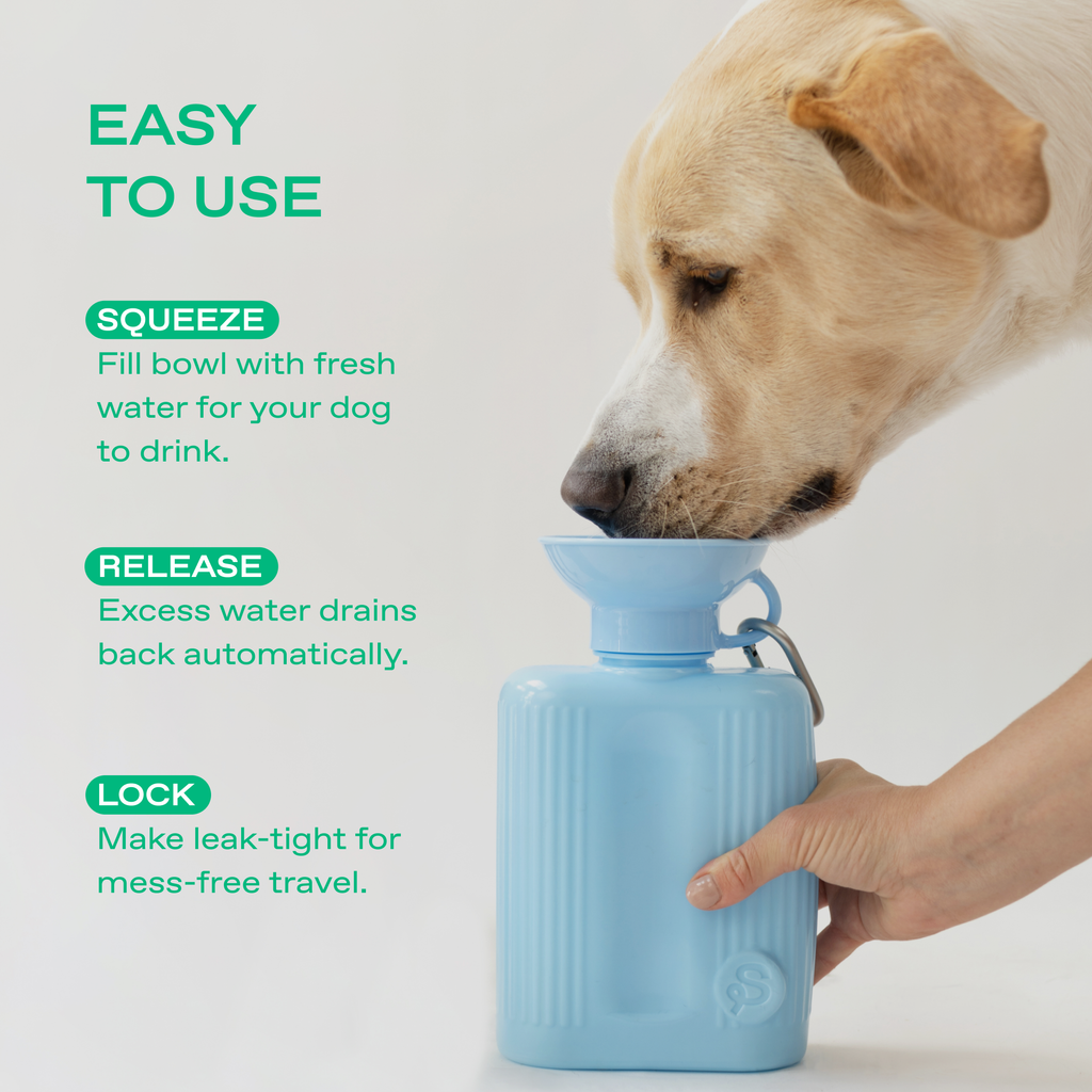 Gourde Portable Springland Pets XXL  — 1,3 L