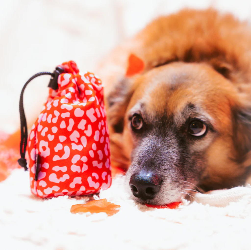 Pochette à friandises avec cordon de serrage - Léopard rouge et rose