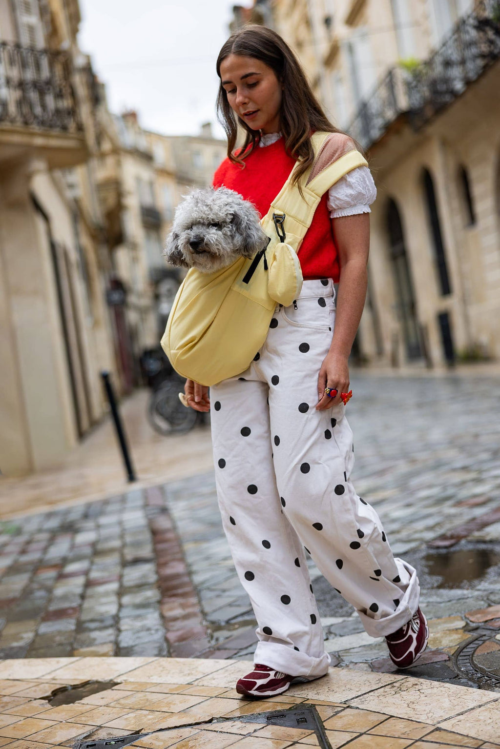 Sac de Transport pour Chien & Chat Weloca – Version Été