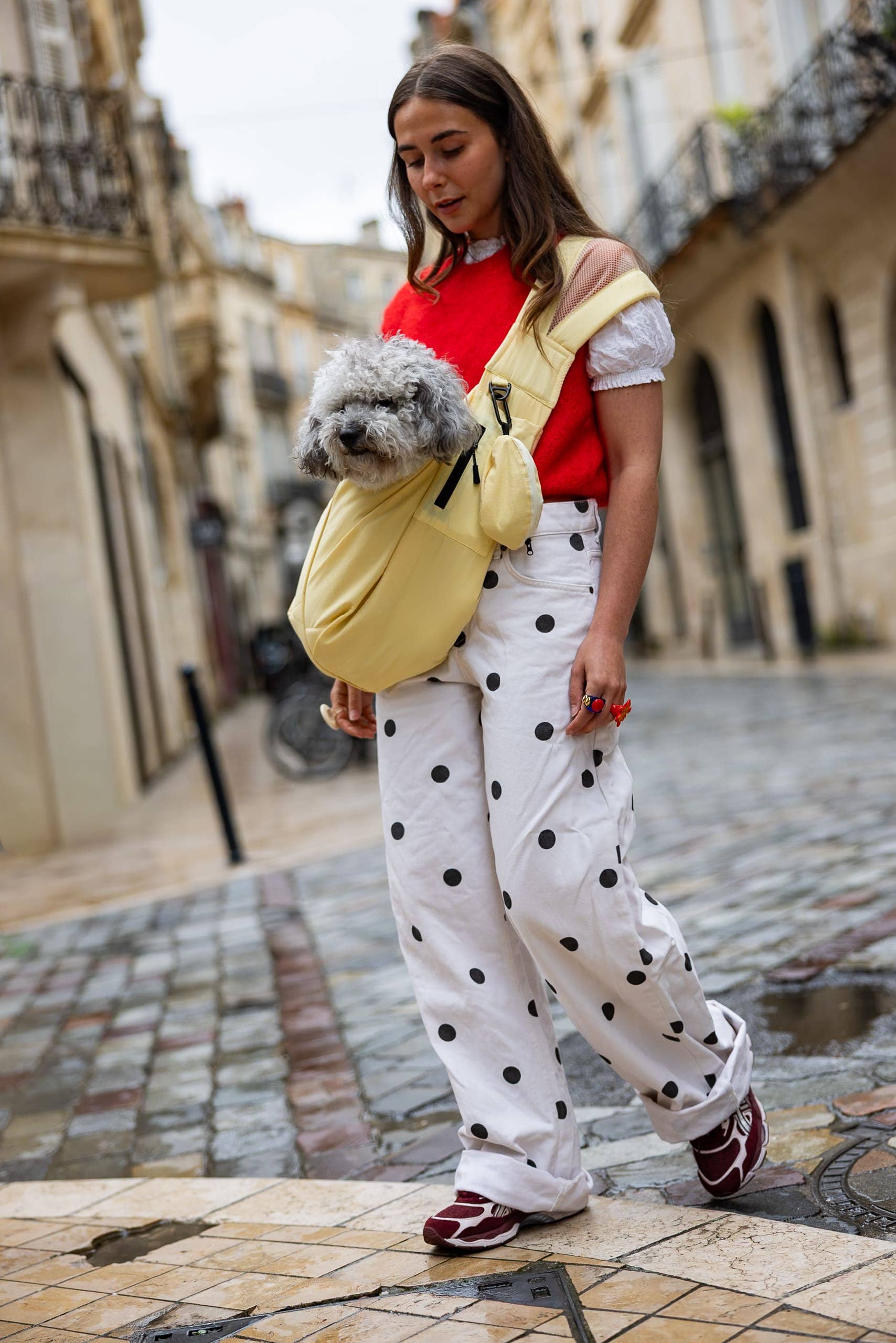 Sac de Transport pour Chien & Chat Weloca – Version Été
