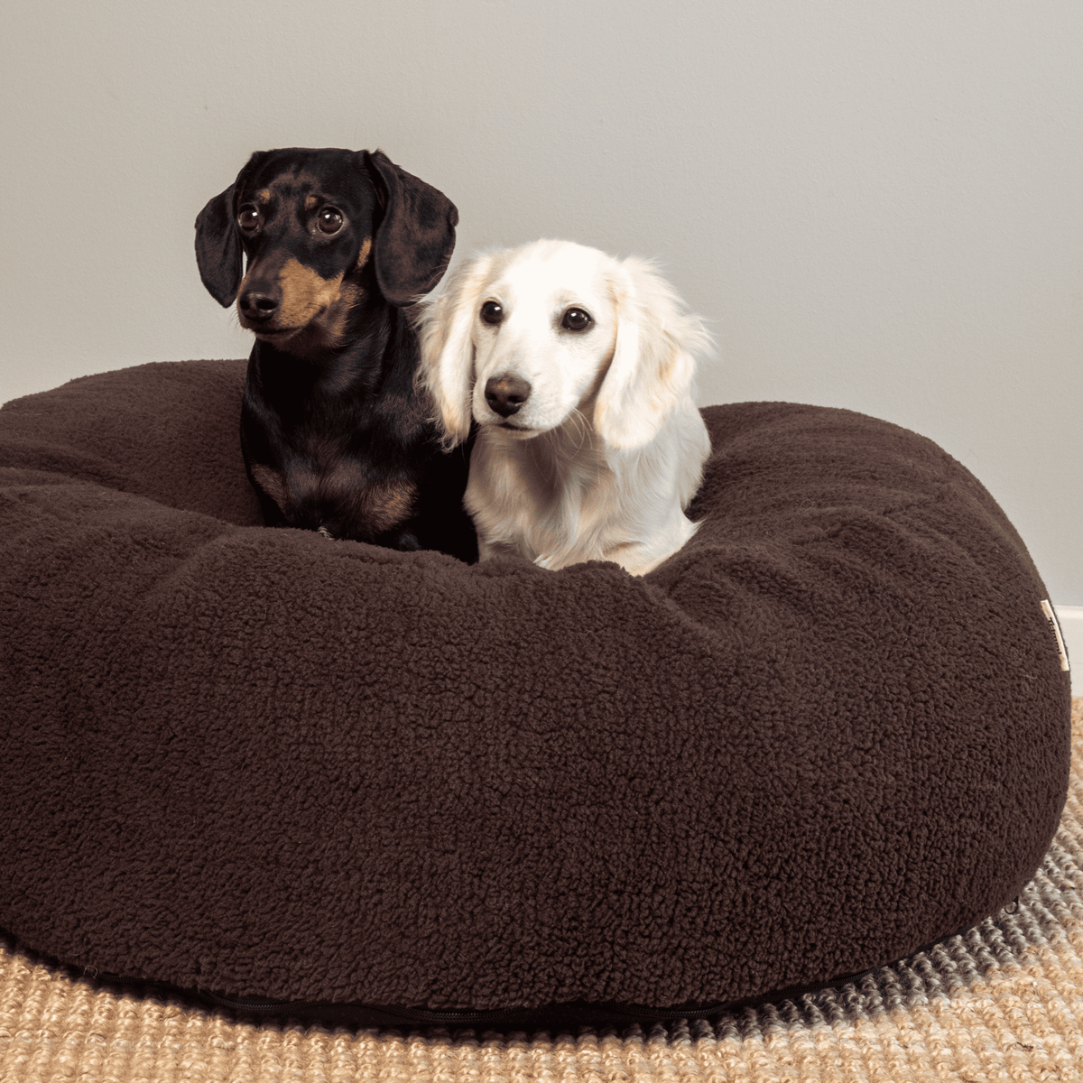 Pouf pour Chien & Chat Teddy Chocolat – Couchage Rond & Moelleux