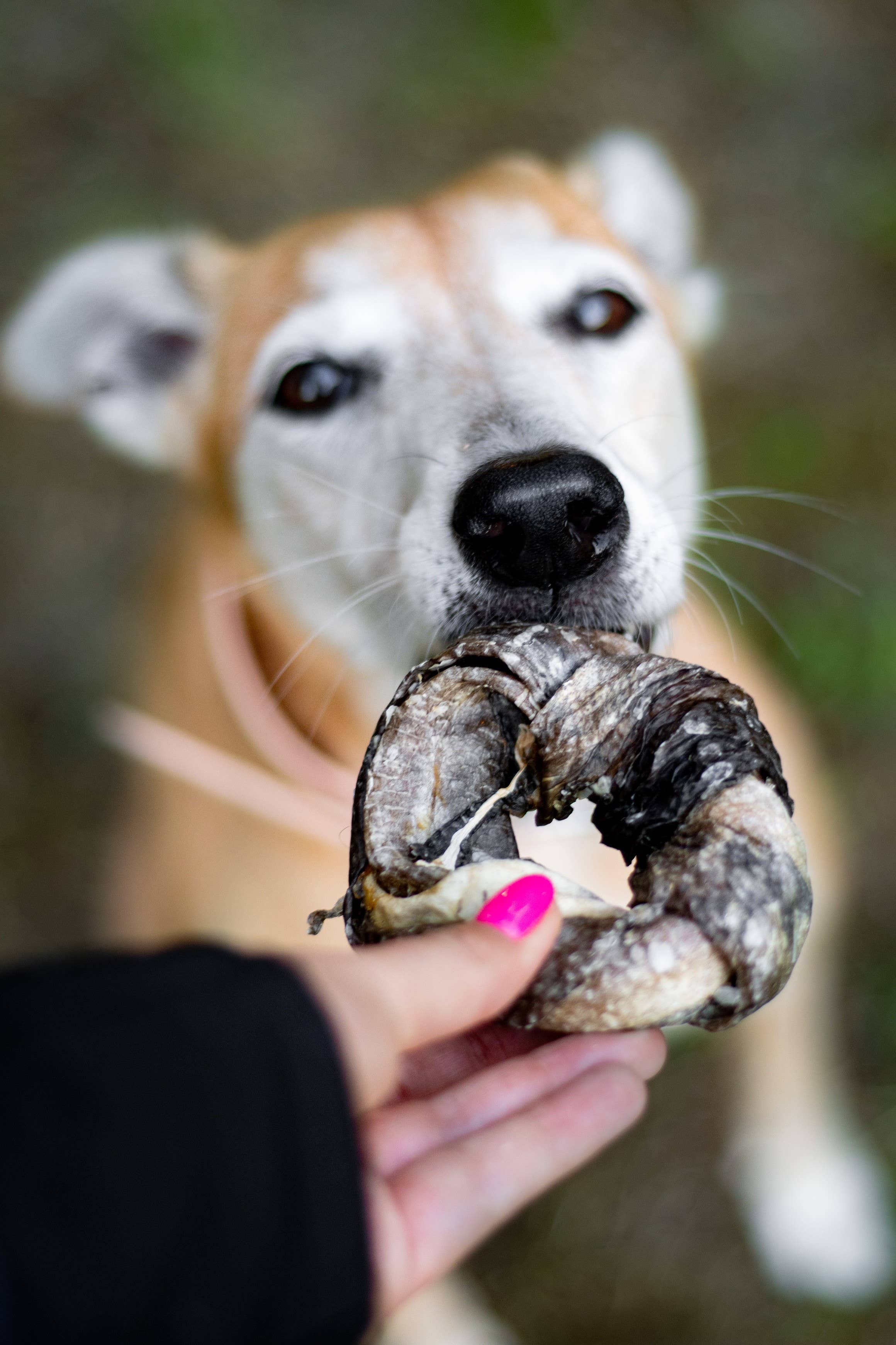 Beignet à la morue - 200g