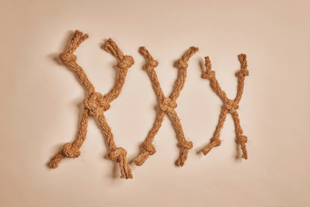 Canophera — Jouet Corde Tressée en Fibre de Noix de Coco