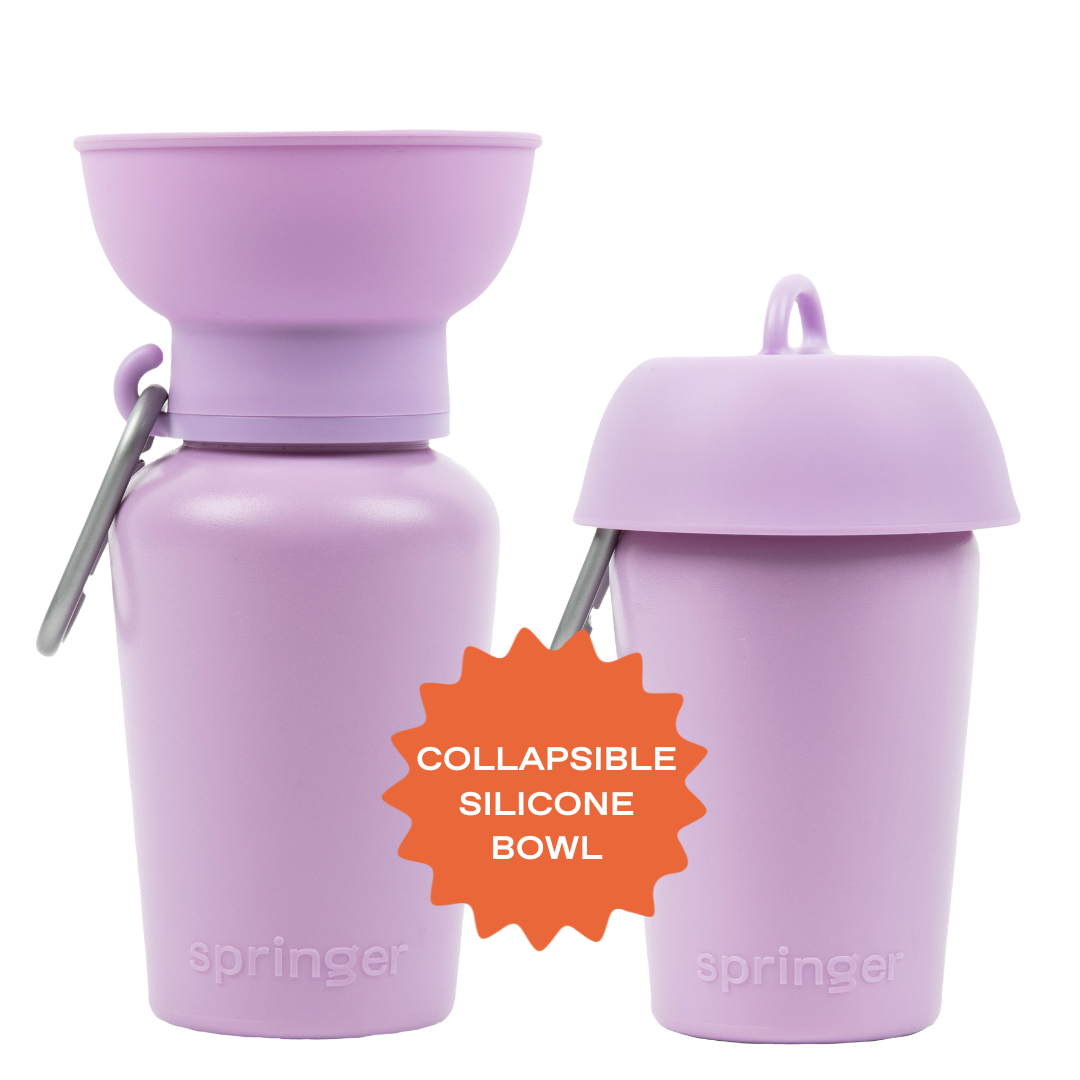Gourde Portable Springland Pets — 591 ml