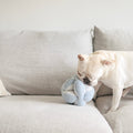 Jouet pour chien MONTI - Fouille