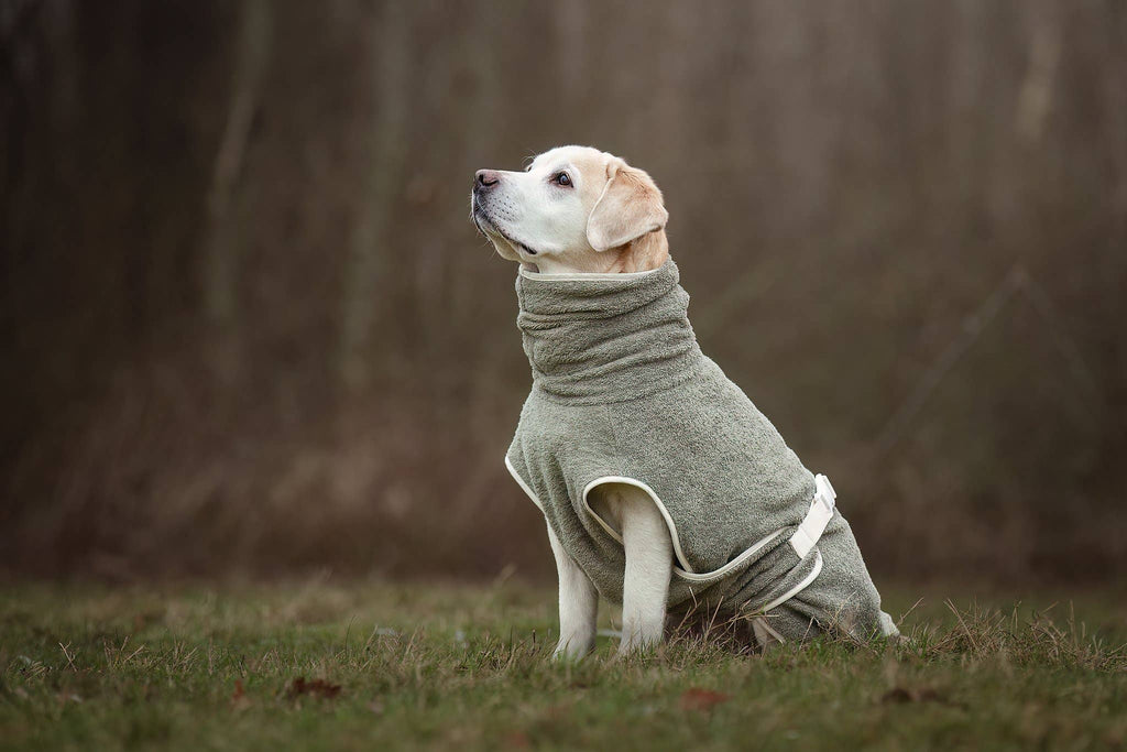 Peignoir pour chien fait main