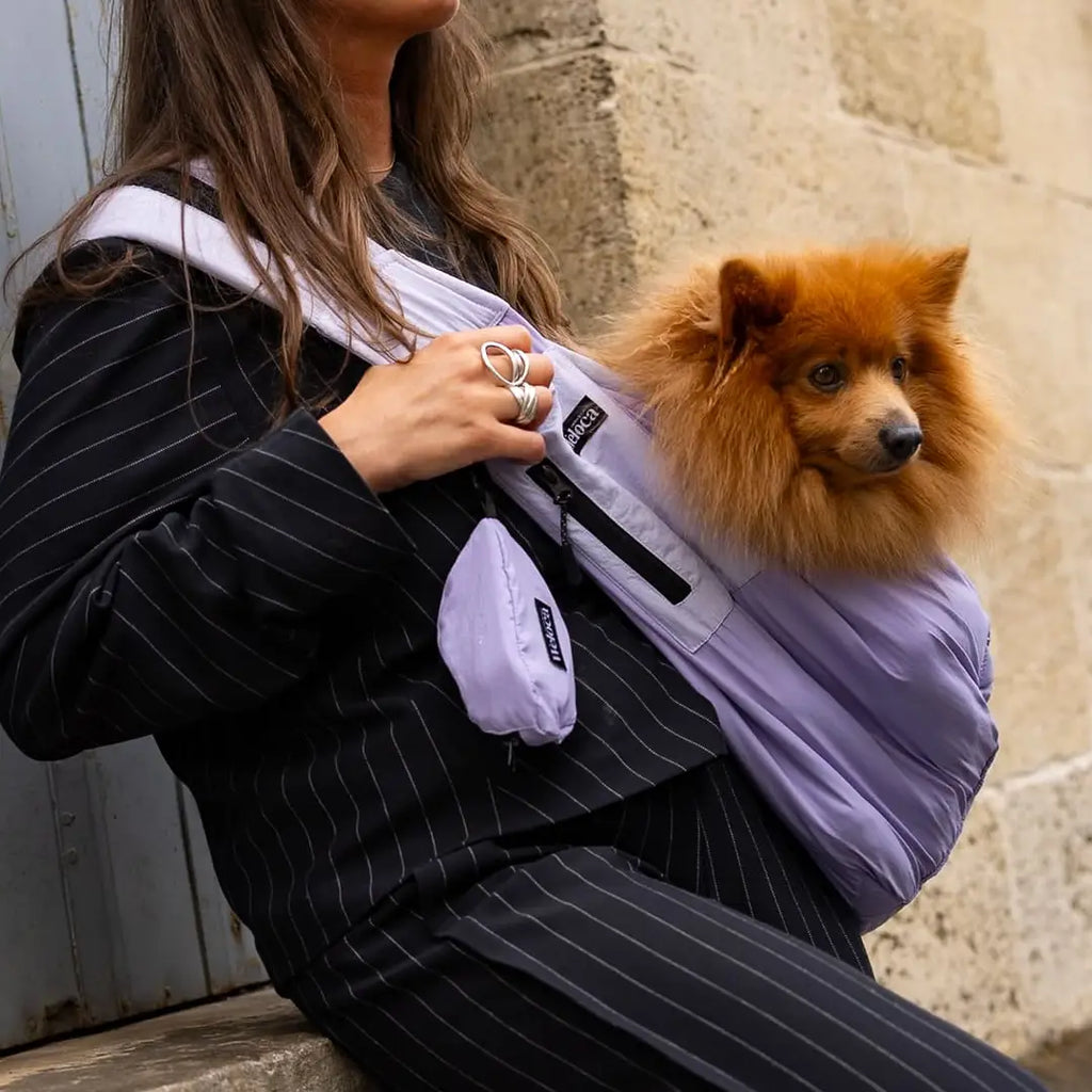 Sac de Transport pour Chien & Chat Weloca – Version Été