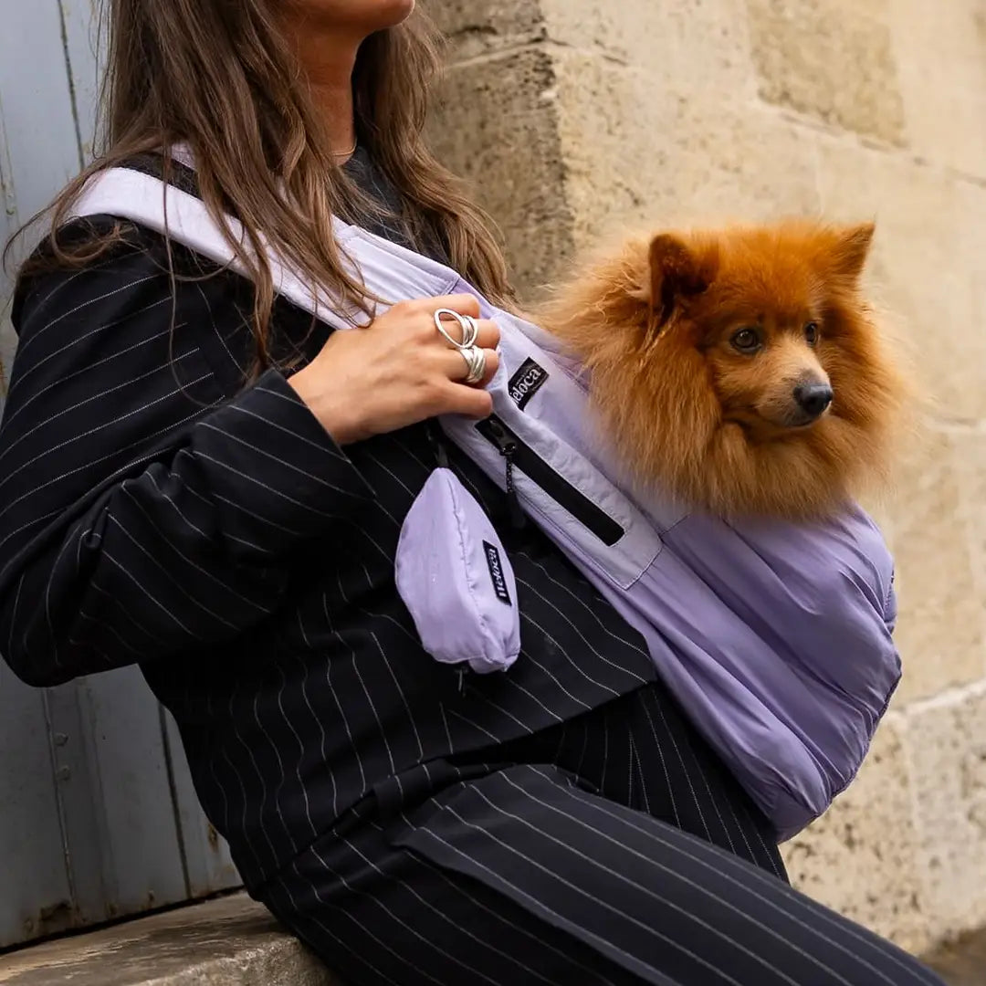 Sac de Transport pour Chien & Chat Weloca – Version Été