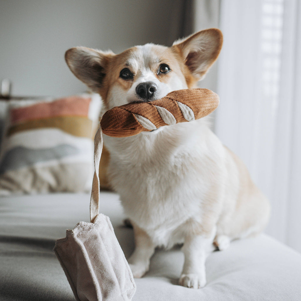 Jouet pour chien MINI-BAGUETTE