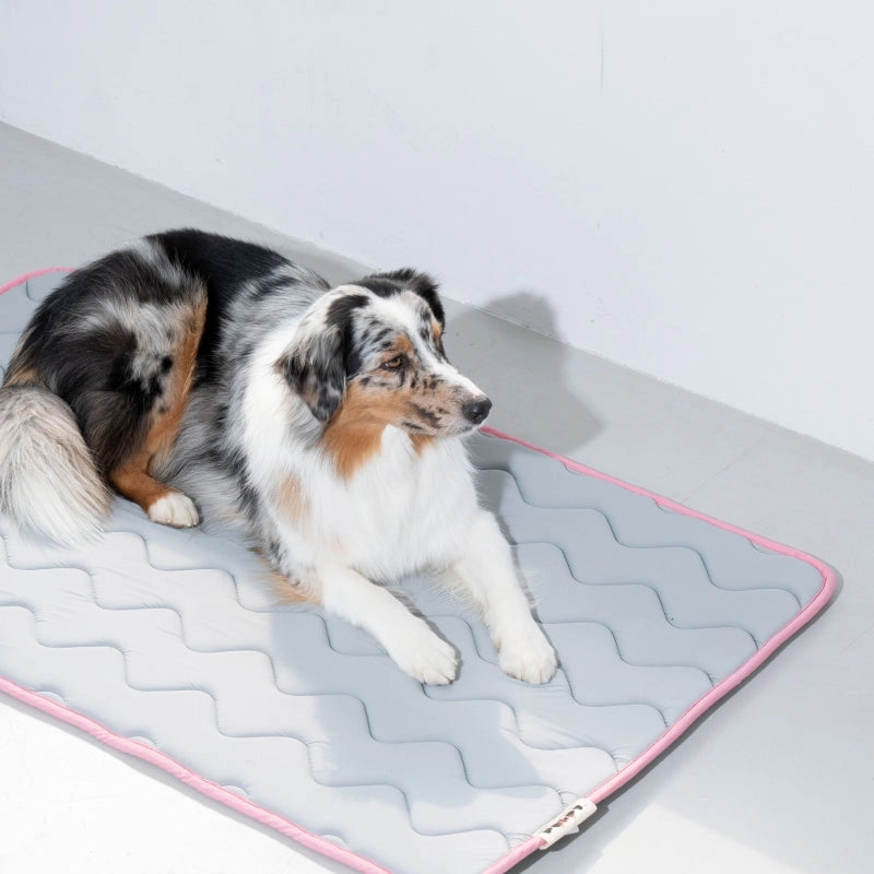 Tapis Rafraîchissant Mémoire de Forme Cool Wave – Puppy Gallery | Coloris Kaki - chiens et chats