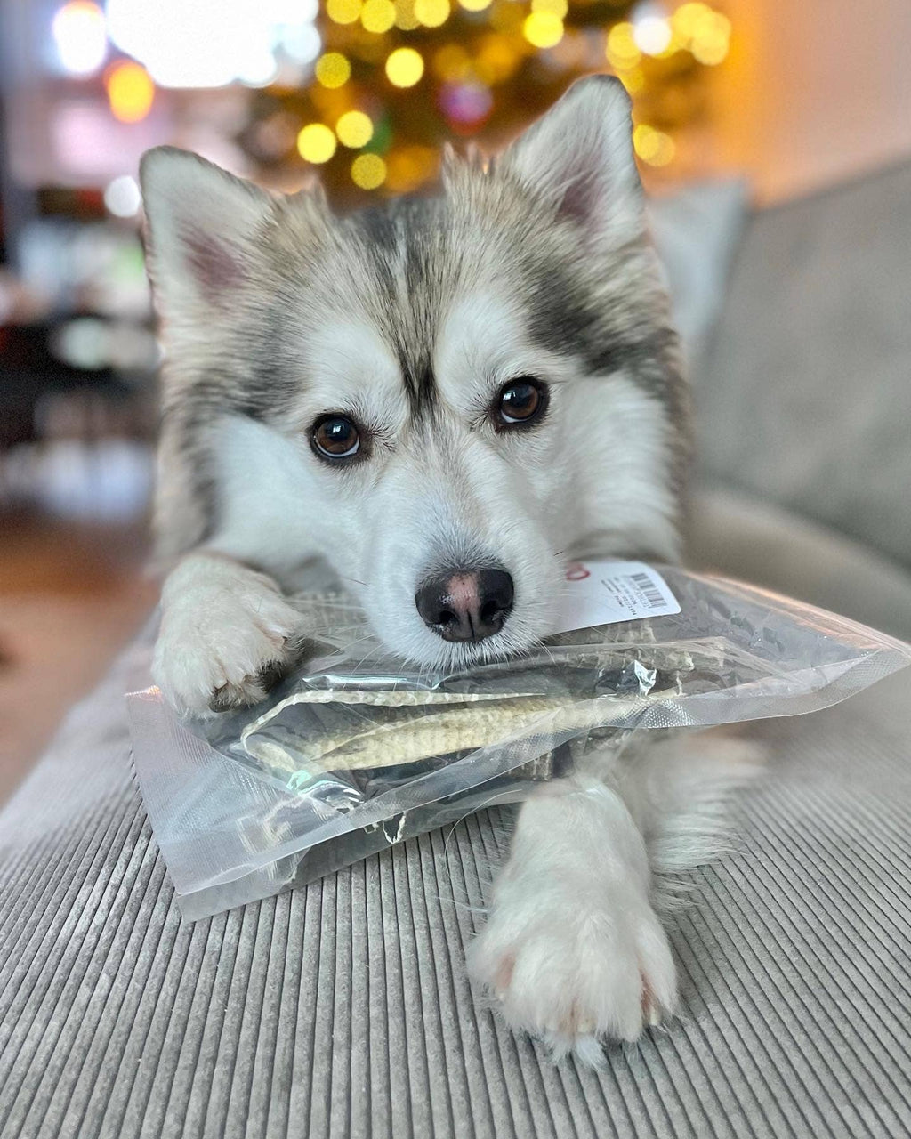 Morue sciée - 100g