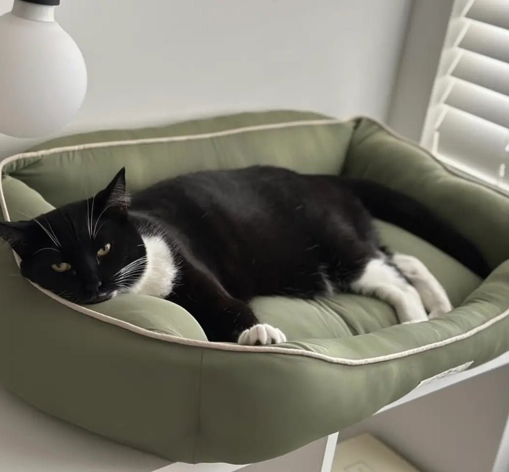 Canapé Lit Rafraîchissant — vert kaki - chiens et chats