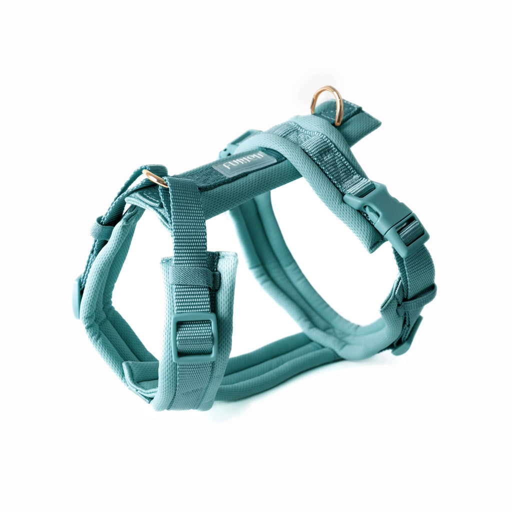 (Pré-commande)Harnais de confort pour chien Furlou – Bleu