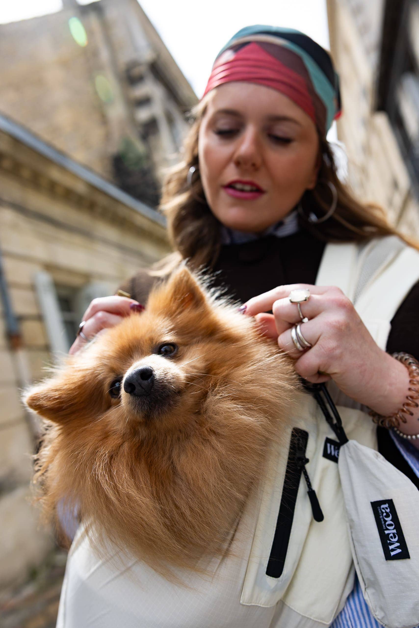 Sac de Transport pour Chien & Chat Weloca – Version Été