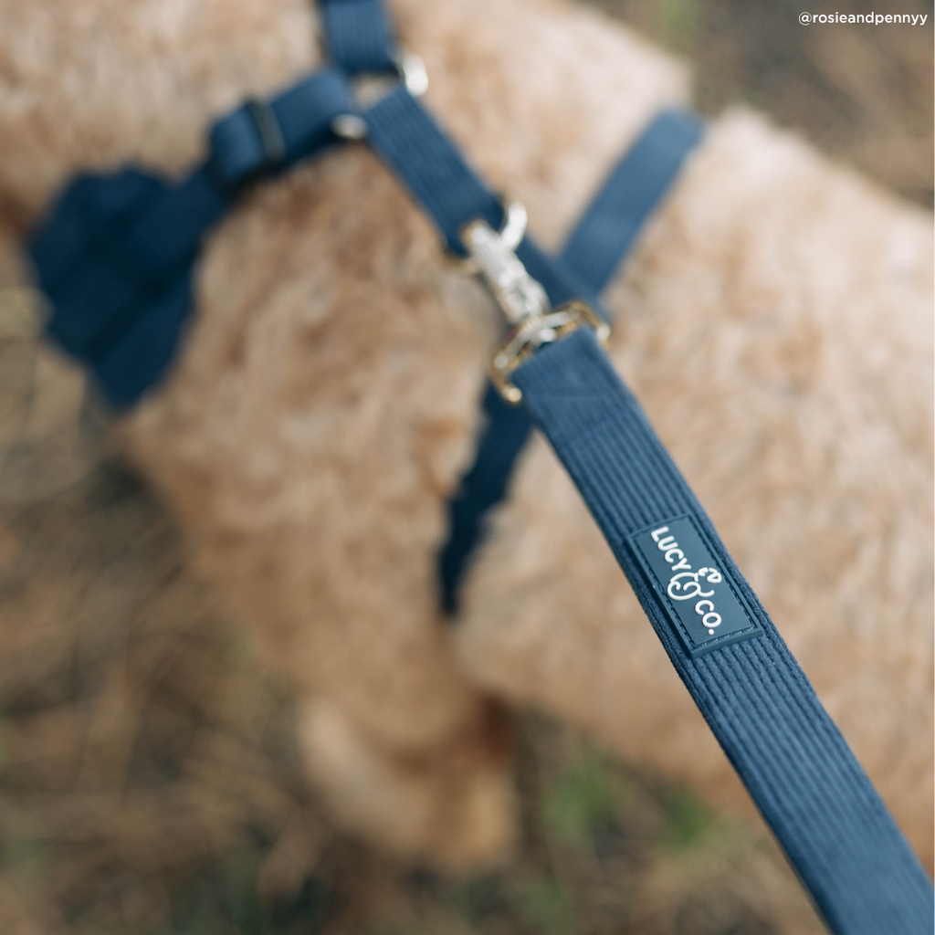 Laisse Appley Ever After – Lucy & Co - Automne