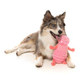 Chien avec peluche rose Flutter FuzzYard