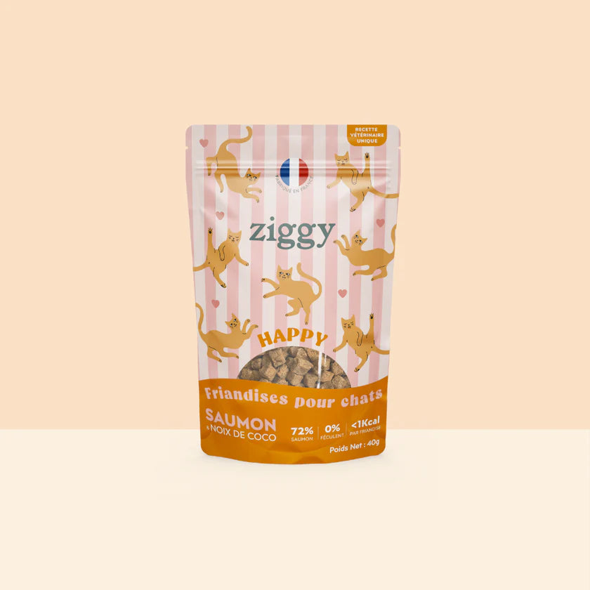 Ziggy — Friandises Happy Saumon & Coco — Chat & Chaton — 40 g