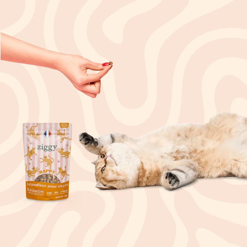 Ziggy — Friandises Happy Saumon & Coco — Chat & Chaton — 40 g