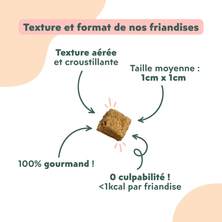 Ziggy — Friandises Happy Saumon & Coco — Chat & Chaton — 40 g