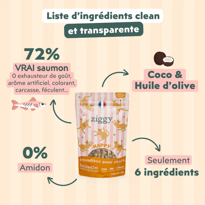 Ziggy — Friandises Happy Saumon & Coco — Chat & Chaton — 40 g