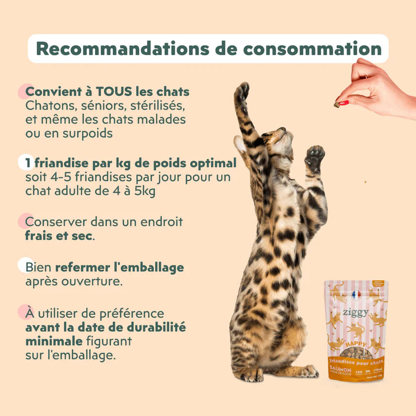 Ziggy — Friandises Happy Saumon & Coco — Chat & Chaton — 40 g