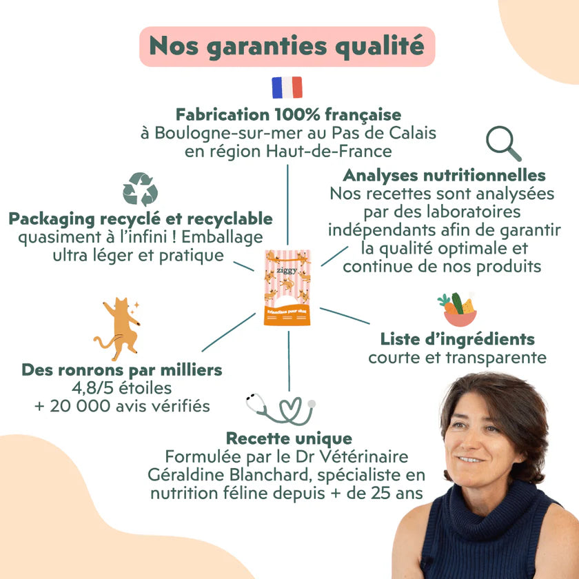 Ziggy — Friandises Happy Saumon & Coco — Chat & Chaton — 40 g