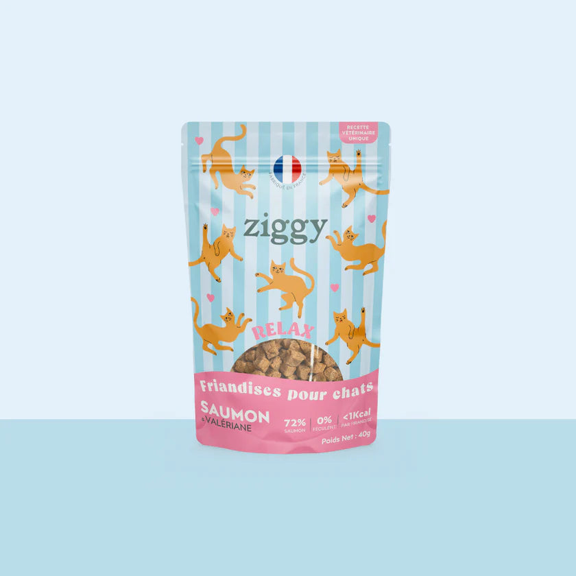 Ziggy — Friandises Relax Saumon & Valériane — Chat — 40 g