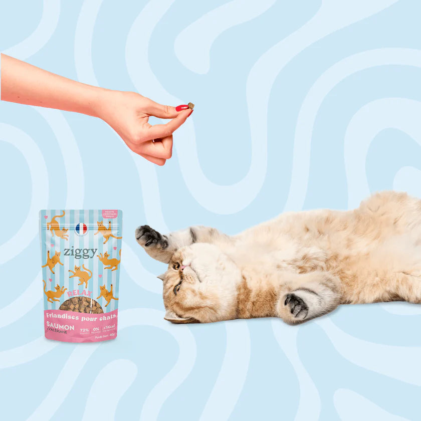 Ziggy — Friandises Relax Saumon & Valériane — Chat — 40 g