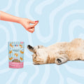 Ziggy — Friandises Relax Saumon & Valériane — Chat — 40 g