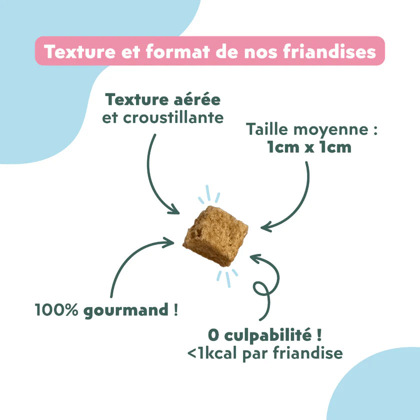 Ziggy — Friandises Relax Saumon & Valériane — Chat — 40 g