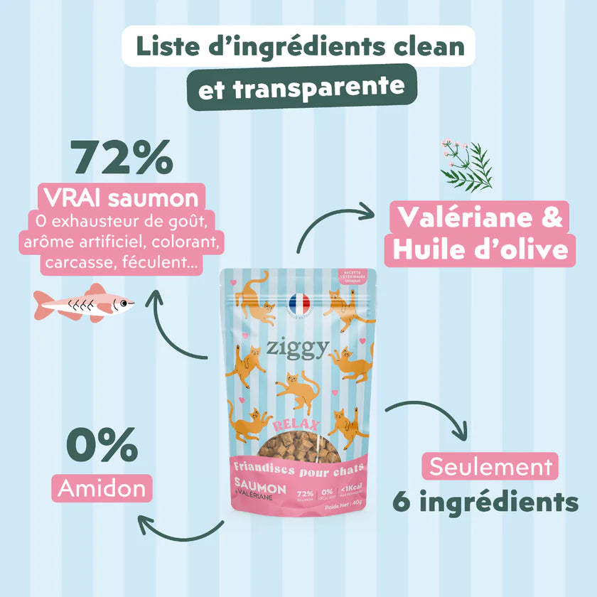 Ziggy — Friandises Relax Saumon & Valériane — Chat — 40 g