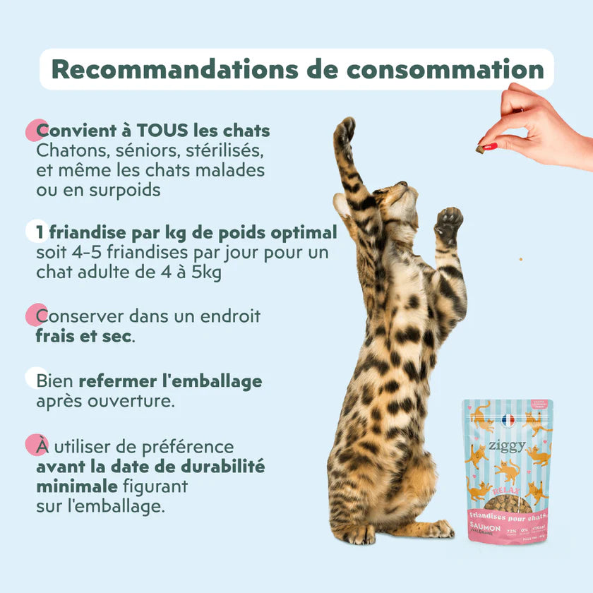 Ziggy — Friandises Relax Saumon & Valériane — Chat — 40 g