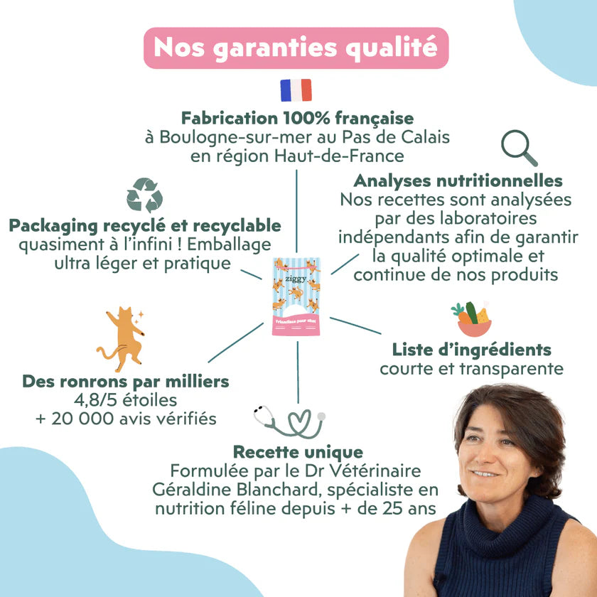 Ziggy — Friandises Relax Saumon & Valériane — Chat — 40 g