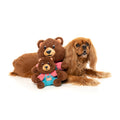 FuzzYard : fuzz bear chien.jpg – photographie principale