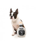 Dogquila – Jouet bouteille pour chien FuzzYard