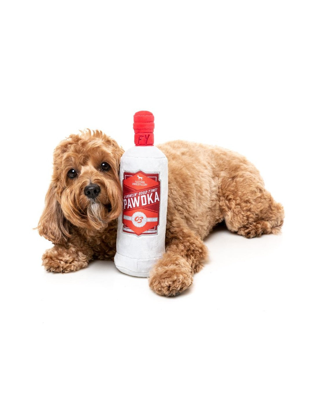Pawdka – Jouet bouteille pour chien FuzzYard