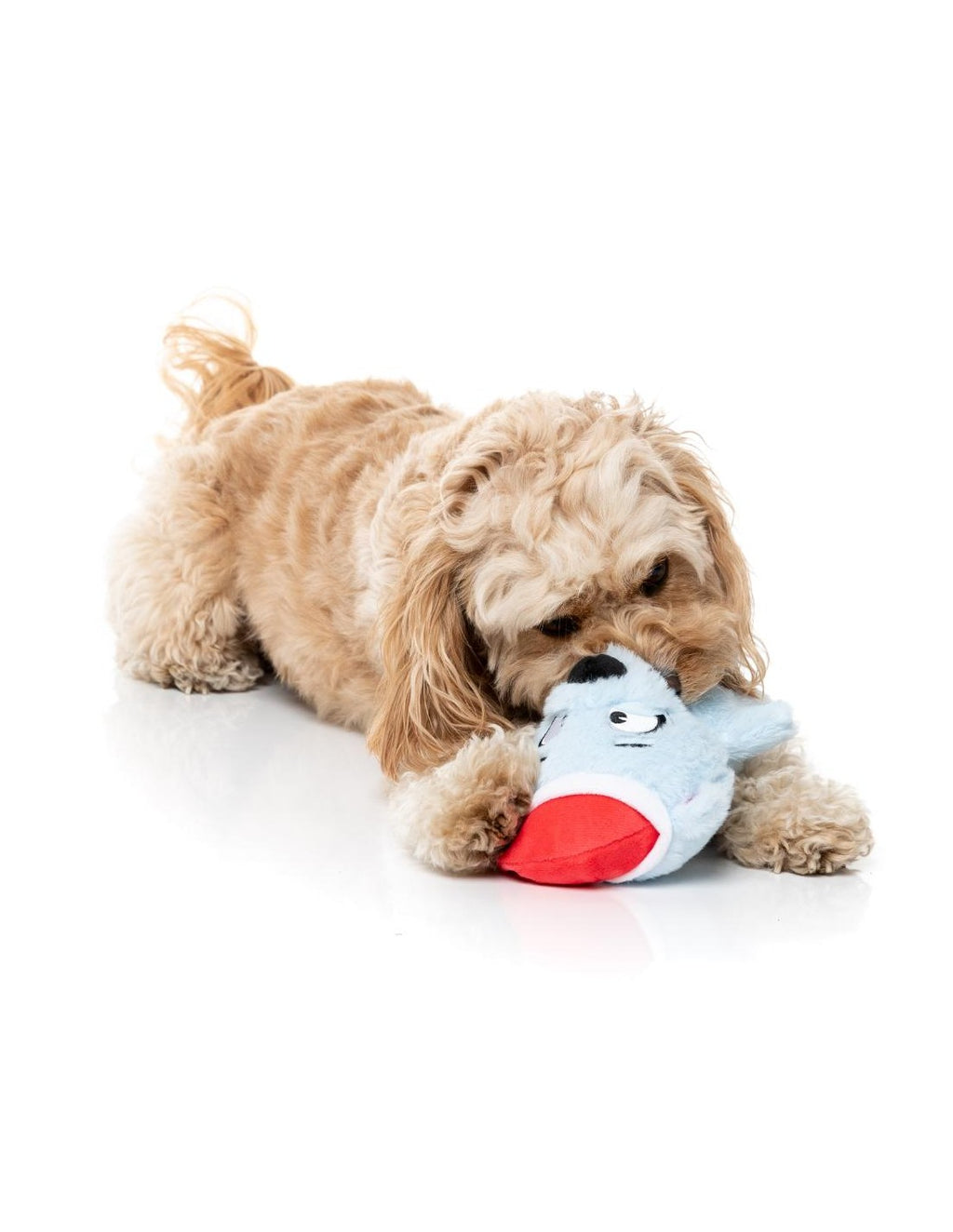 Brrr-Uce l'Ours polaire – Jouet de Noël pour chien FuzzYard