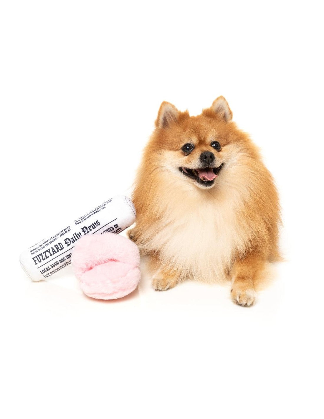 Fetch My Slippers & Paper – Duo de jouets pour chien FuzzYard