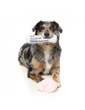 Fetch My Slippers & Paper – Duo de jouets pour chien FuzzYard