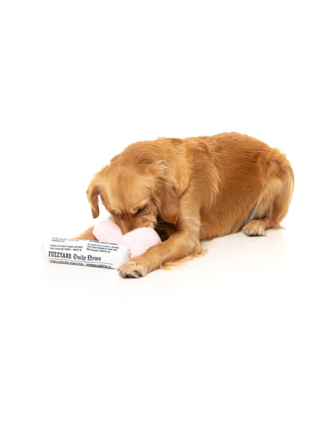 Fetch My Slippers & Paper – Duo de jouets pour chien FuzzYard