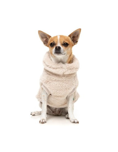 Sweat - Turtle Teddy 25 - Beige